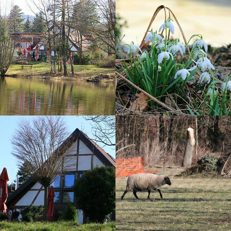 Landhaus Tonmuehle อิลเซินบวร์ก ภายนอก รูปภาพ